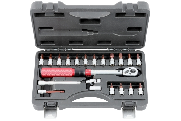 1/4" Torque Wrench 5-25Nm 21pcs set